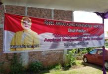 The Malady of Ignorance? Indonesian Parliament During the COVID-19 Pandemic